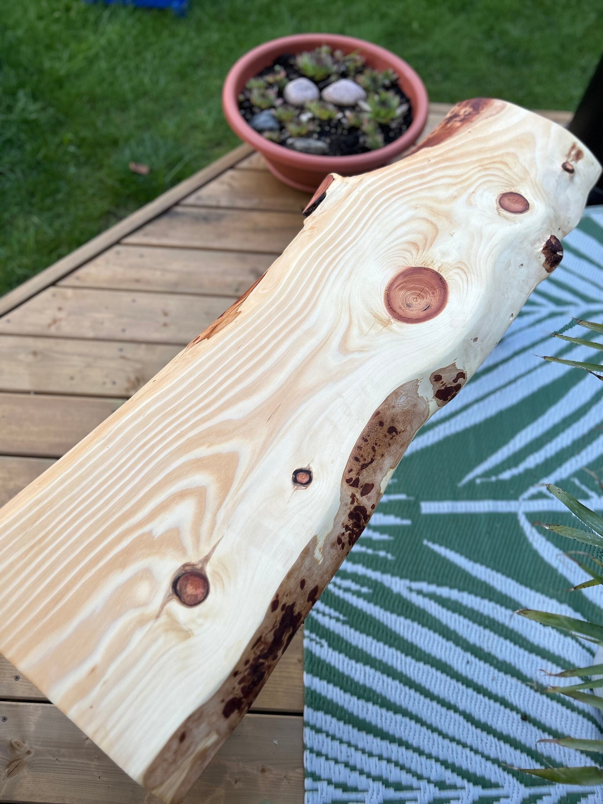 44” Cedar Beam Bench, Live Edge