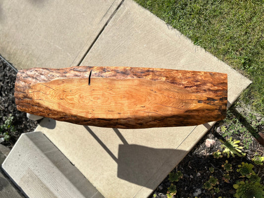 Black Cherry Bench, Live Edge